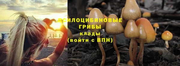 соль курить ск Богородицк