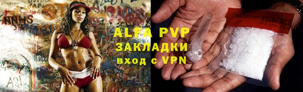 индика Верея