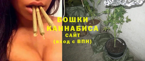 МДПВ Богородск