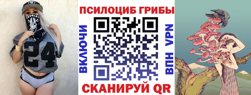 Псилоцибиновые грибы Cubensis наркотики Пестово